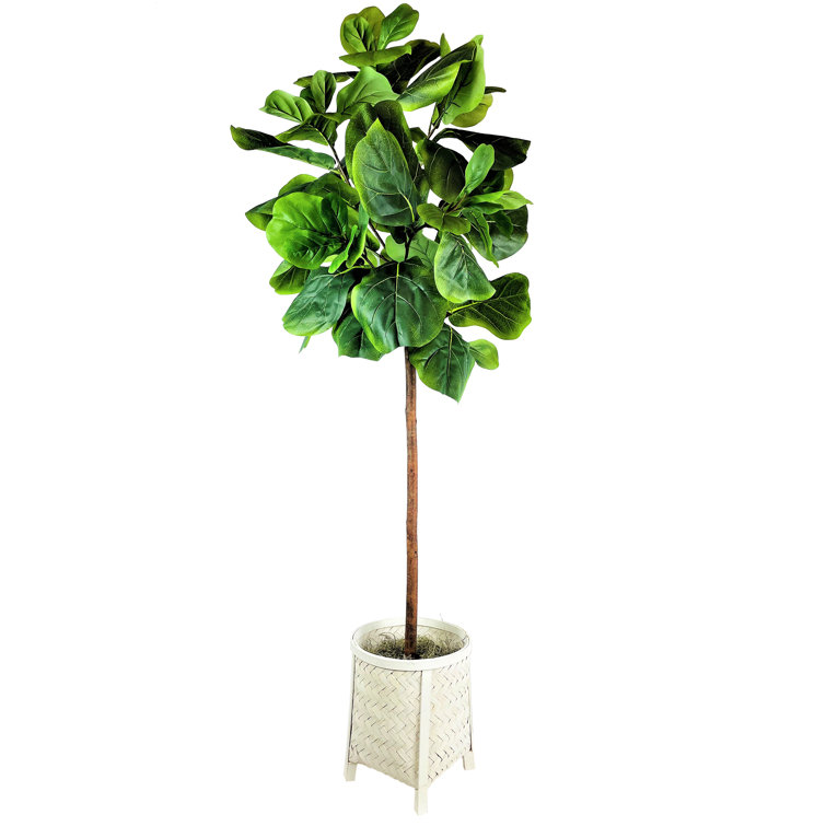 Primrue 60'' Faux Fiddle Leaf Fig Tree in Bamboo Basket Wayfair
